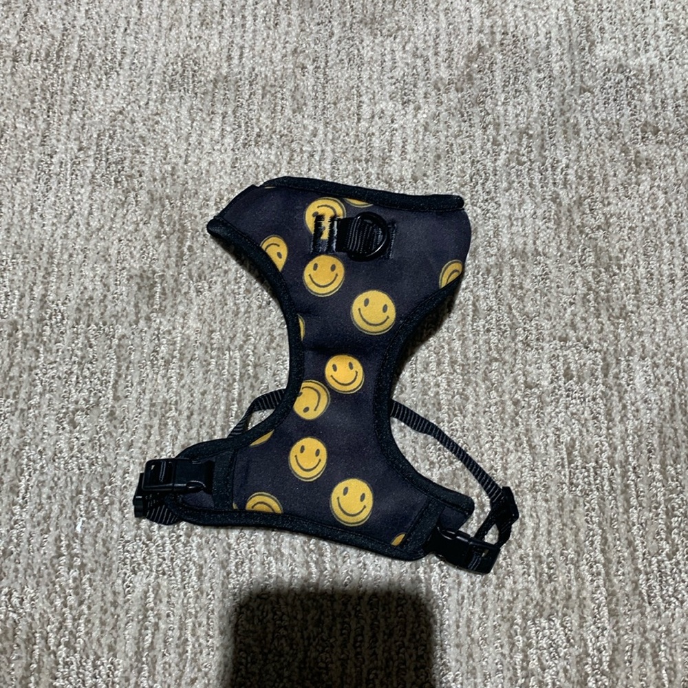 Top paw harness